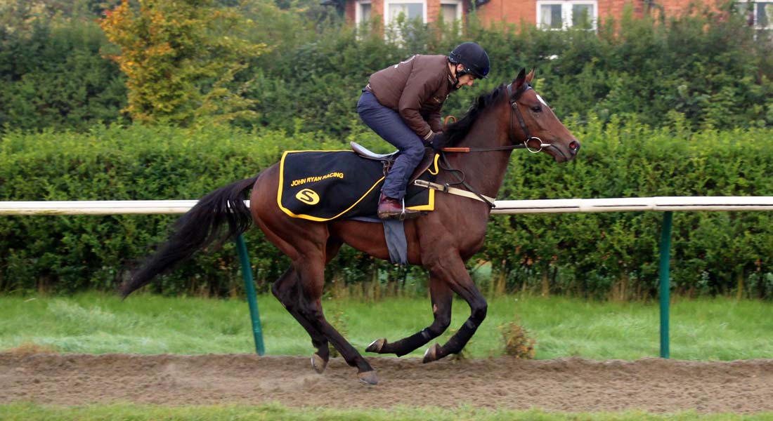 Racehorse Training Facilities | Newmarket Racehorse Trainer UK