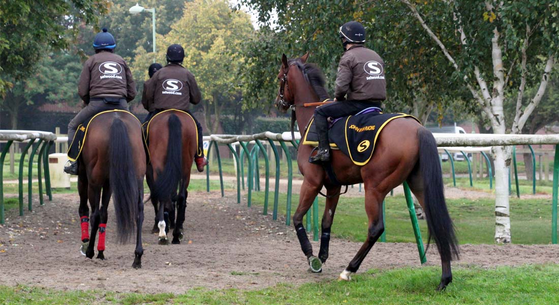 Racehorse Training Facilities Newmarket Racehorse Trainer UK